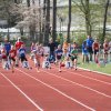 IMG_6849 (Large)